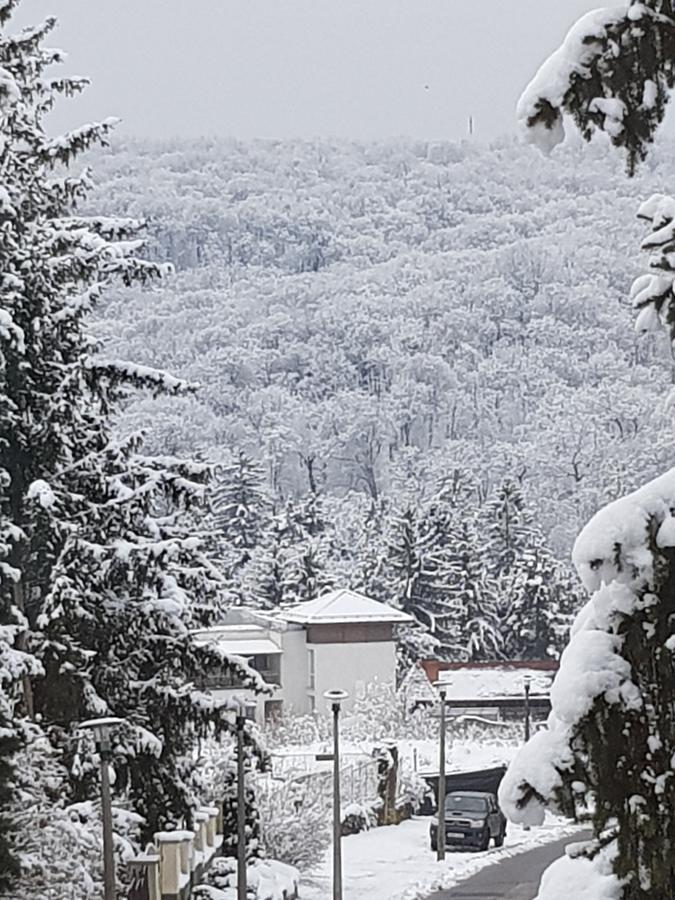 Amaretto Szallas Miskolc Luaran gambar